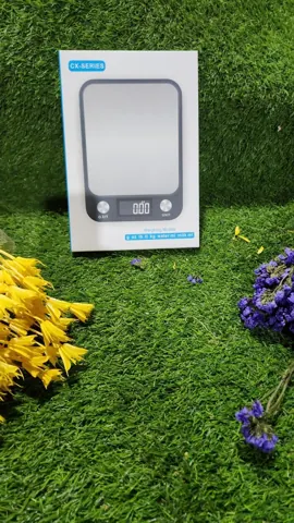 Weight Scale