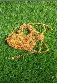 Gold Chain 5 MTR