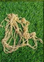 Gold Chain 5 MTR