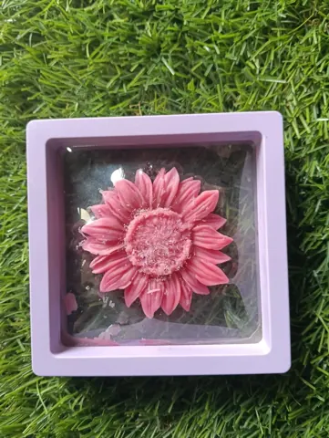 9×9 display box