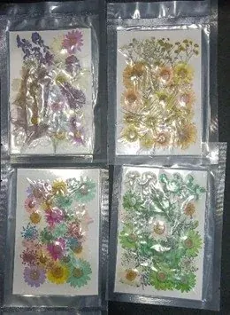 Pressed flower