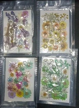 Pressed flower